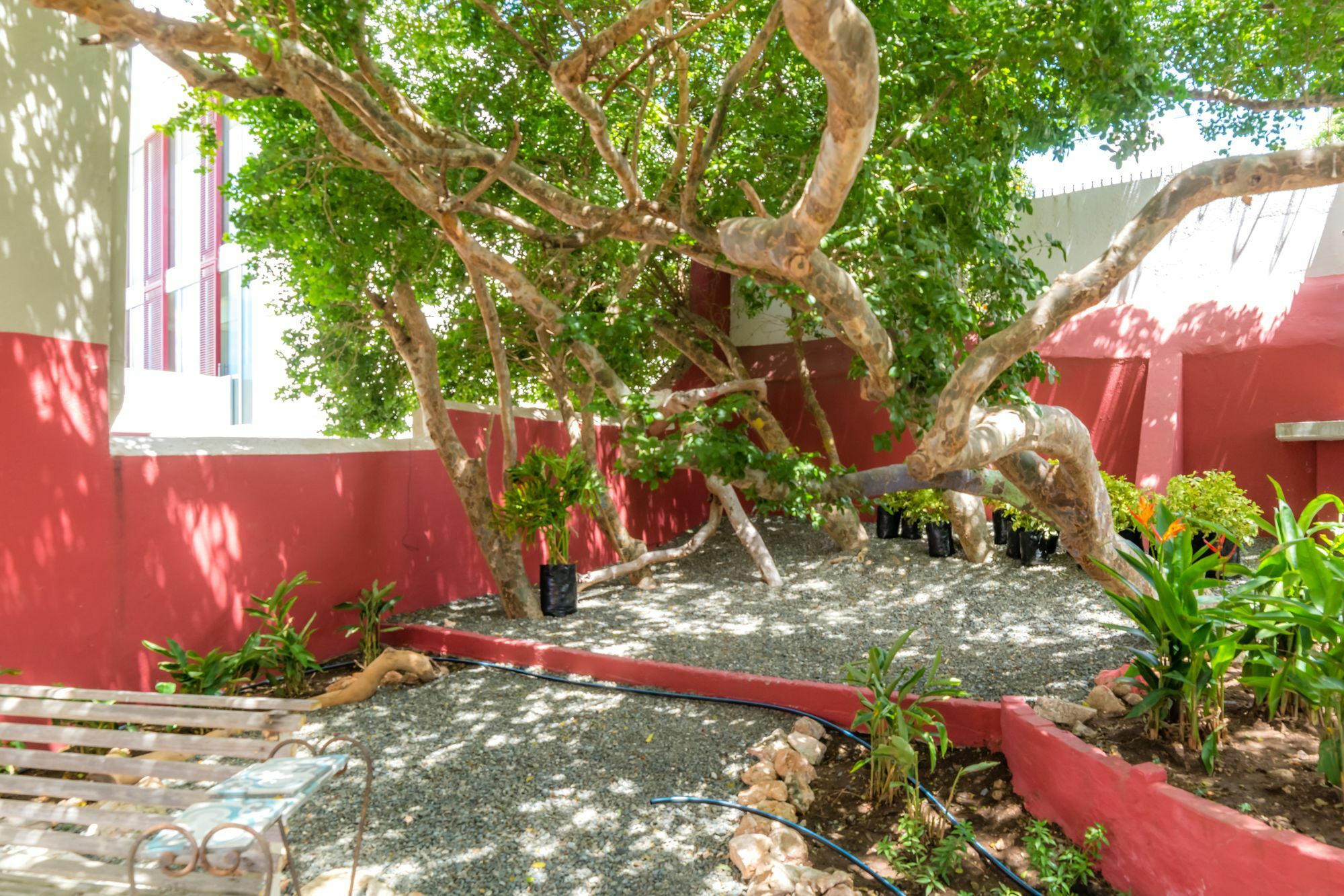 Bario Hotel Willemstad Bagian luar foto